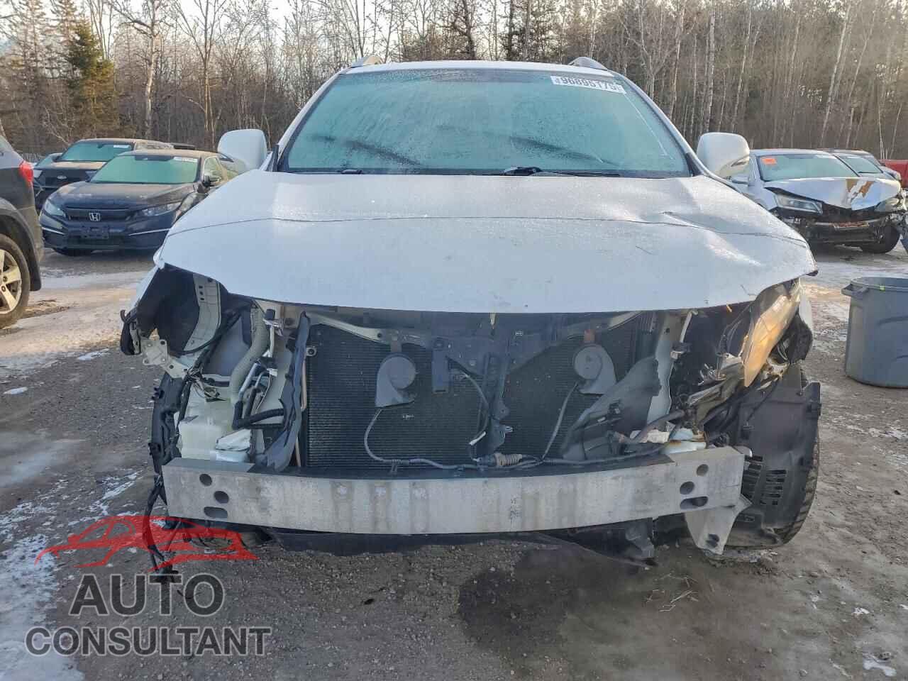 LEXUS RX350 2010 - 2T2BK1BA6AC059233