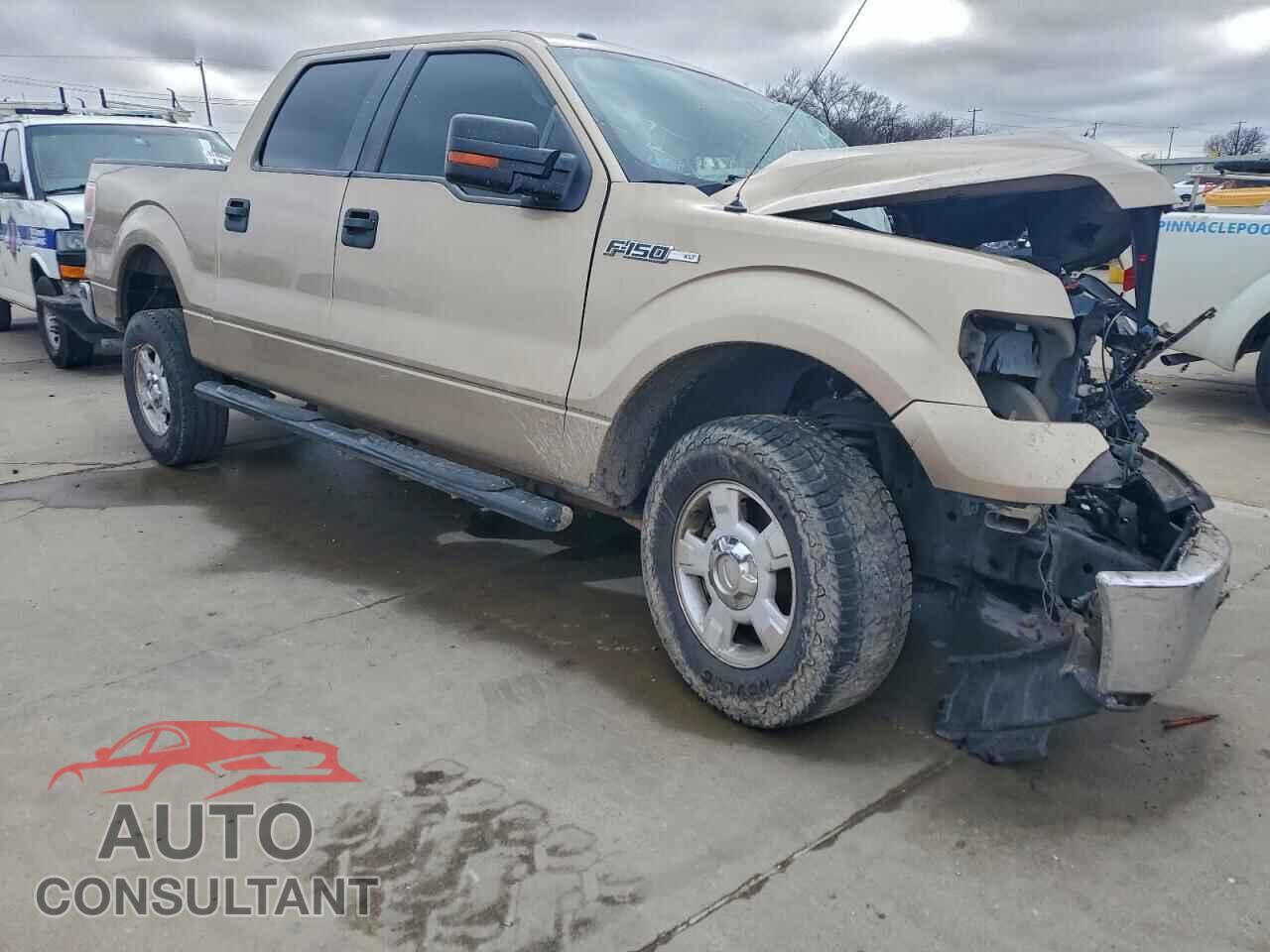 FORD F-150 2012 - 1FTFW1CF3CFC82456