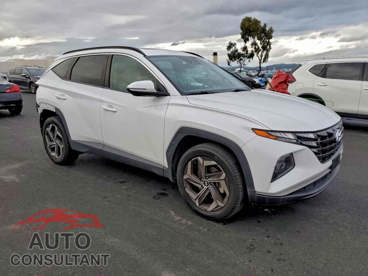 HYUNDAI TUCSON 2023 - 5NMJFCAE1PH267642