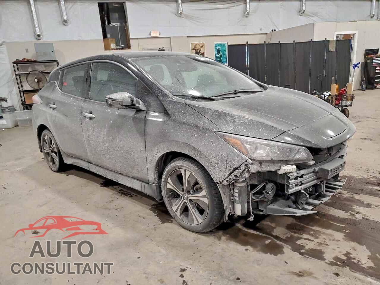NISSAN LEAF 2020 - 1N4BZ1DP4LC311774