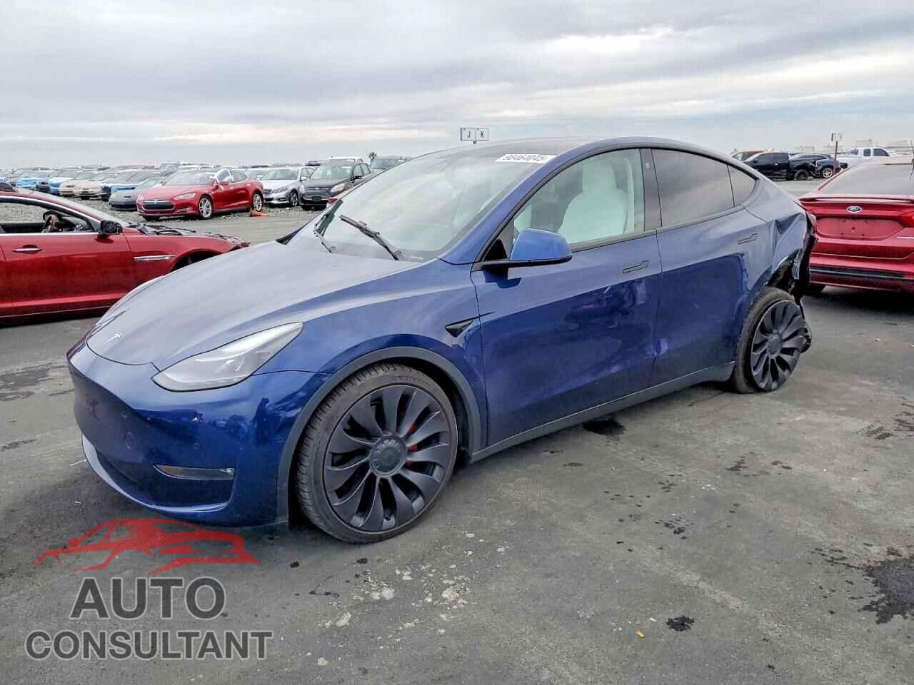 TESLA MODEL Y 2022 - 7SAYGDEF7NF350305