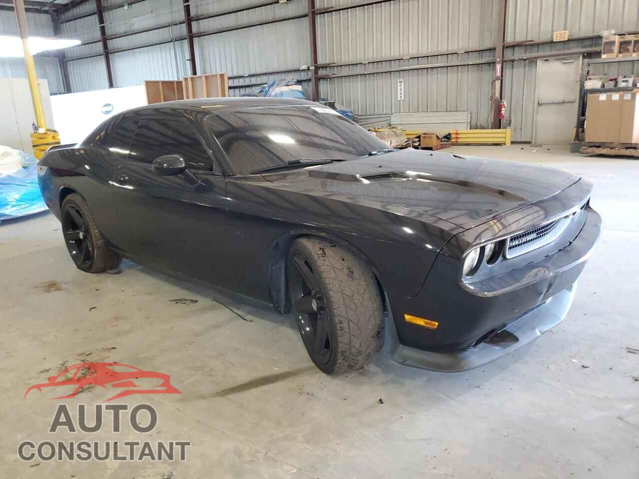 DODGE CHALLENGER 2014 - 2C3CDYCJ1EH247121