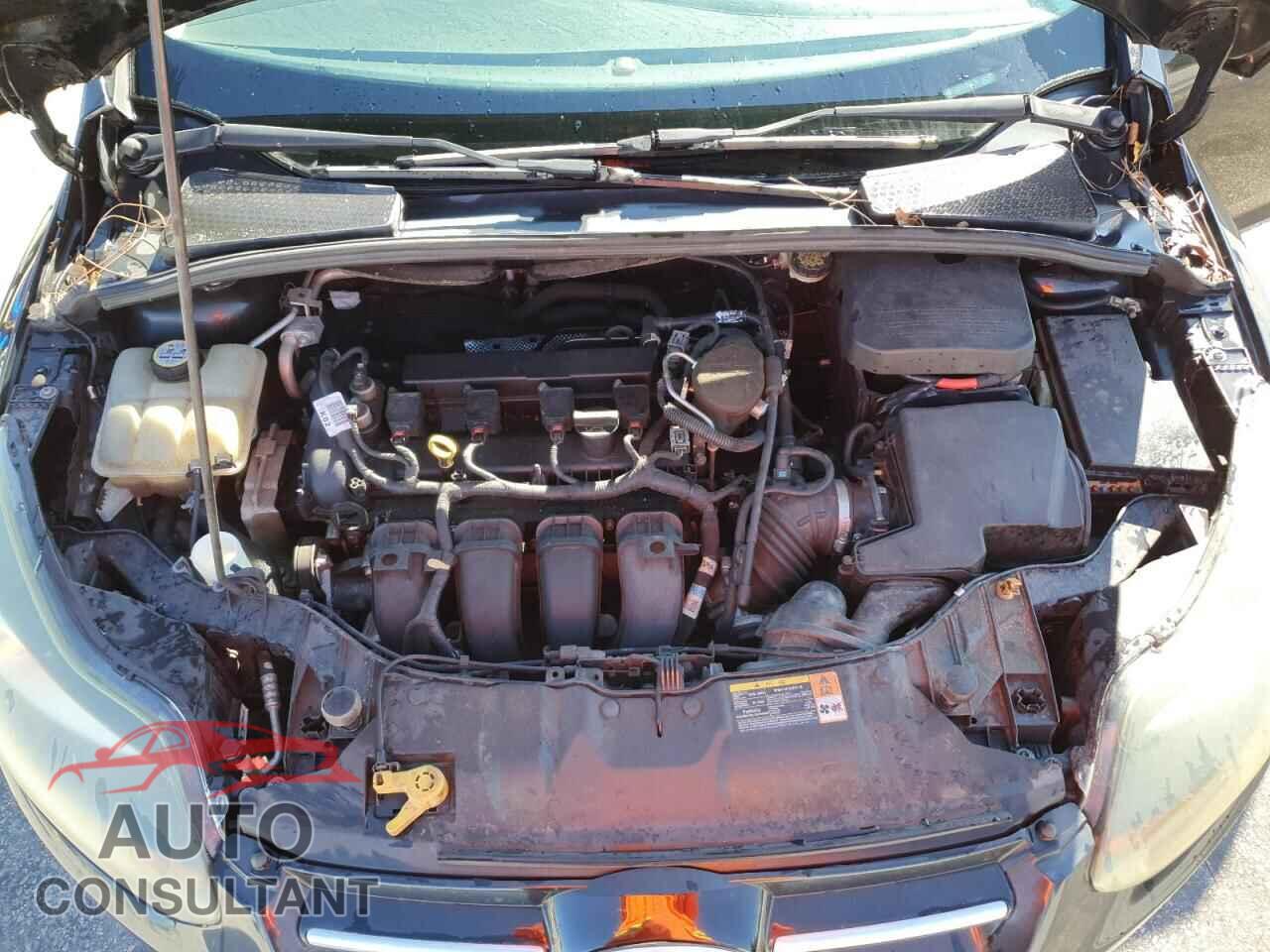 FORD FOCUS 2013 - 1FADP3J24DL338624
