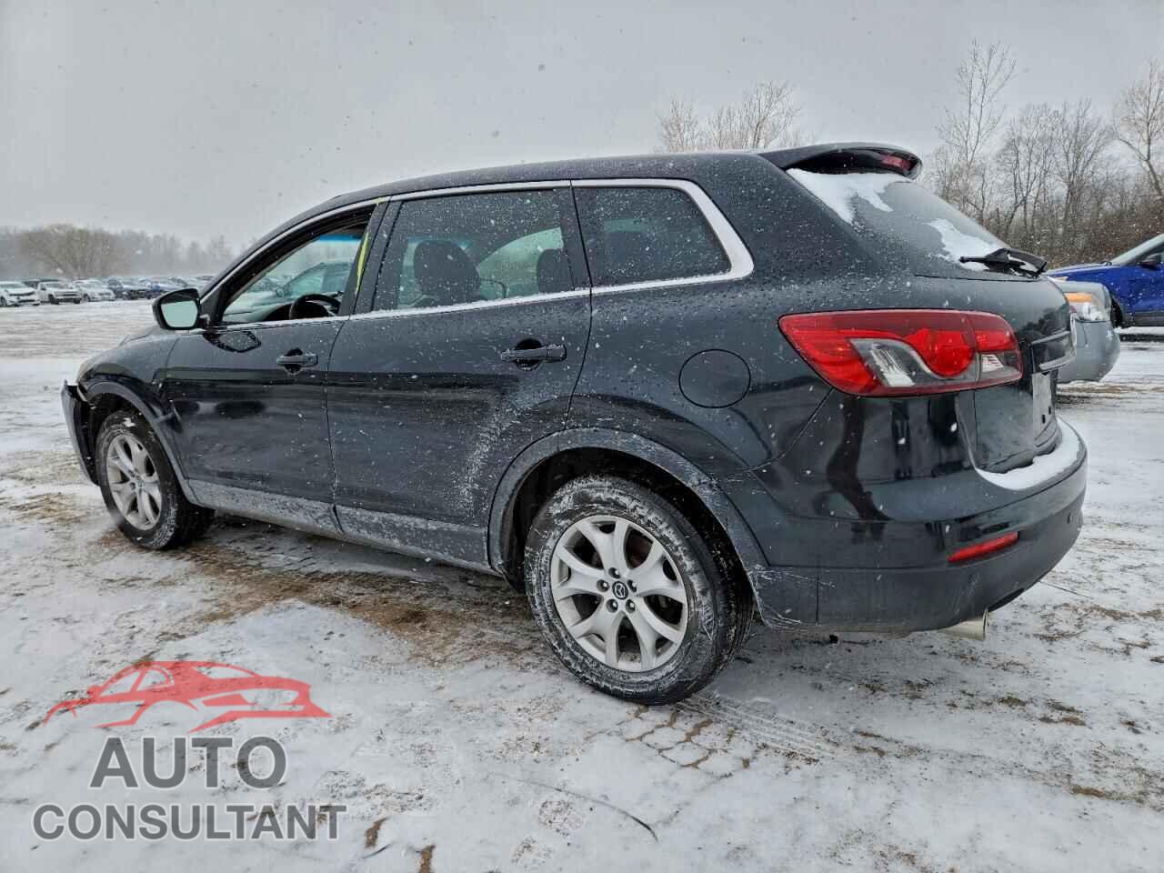 MAZDA CX-9 2014 - JM3TB3CV5E0446627