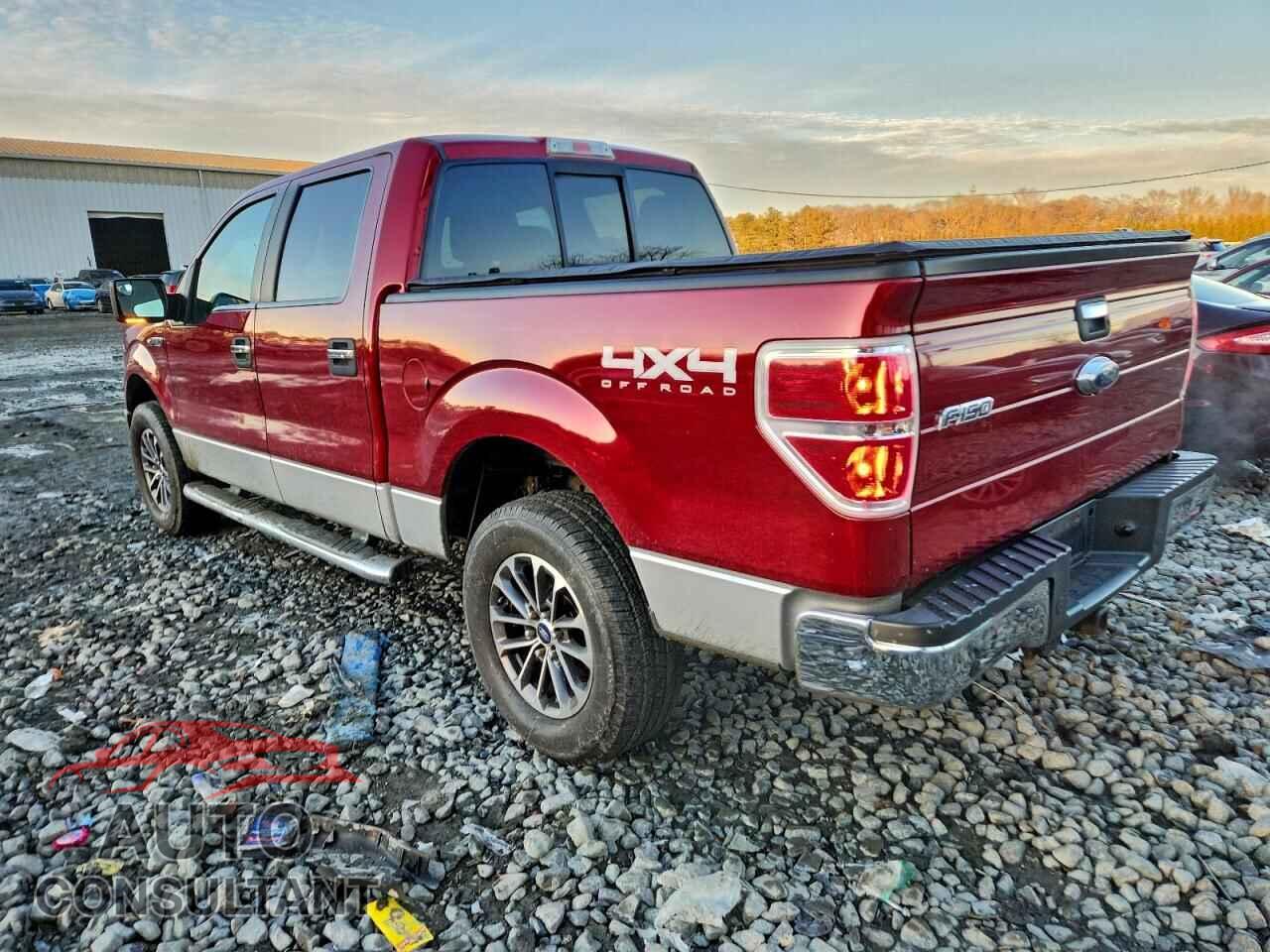 FORD F-150 2013 - 1FTFW1EF4DFD98005