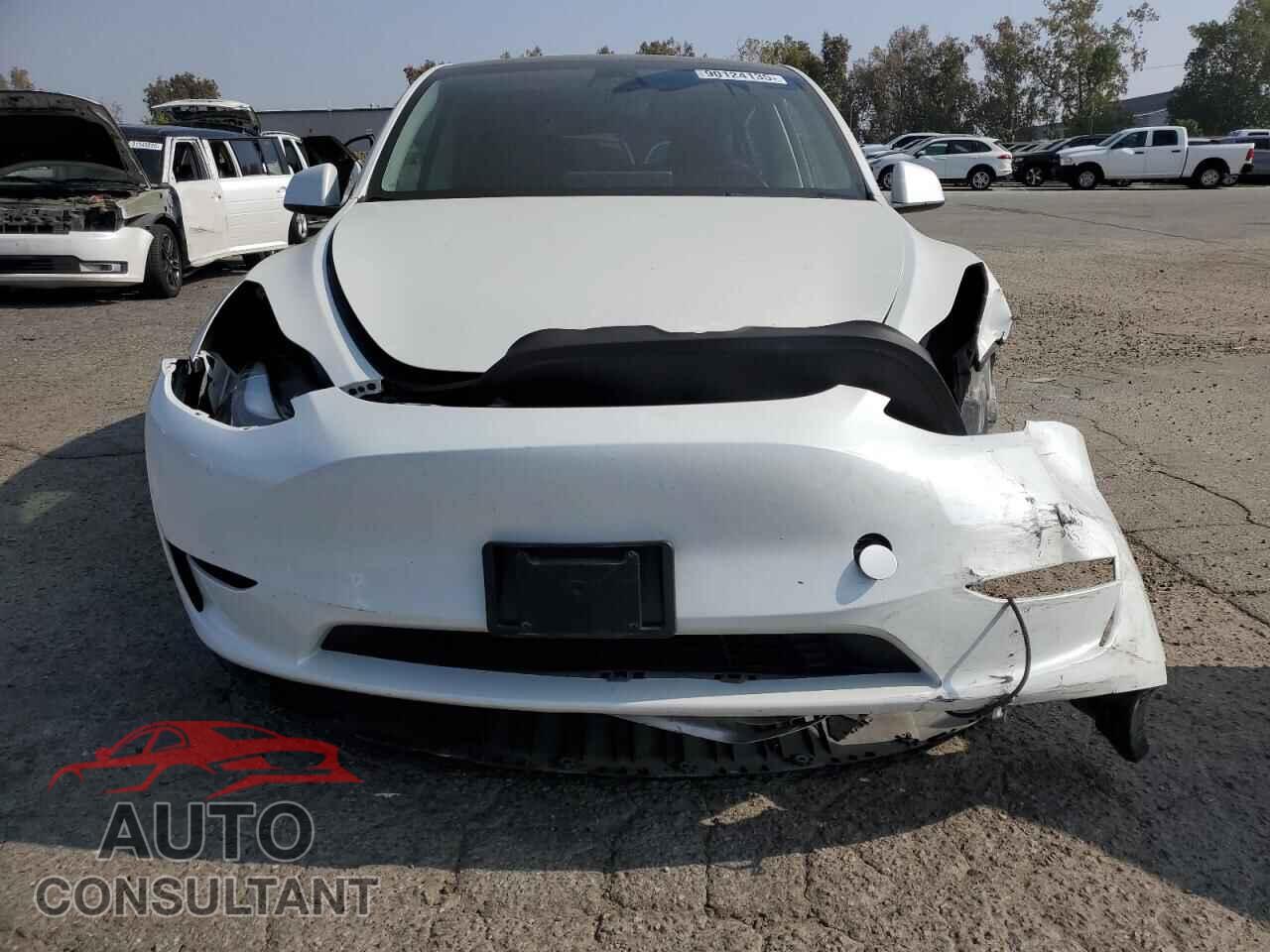 TESLA MODEL Y 2023 - 7SAYGAEE5PF769729