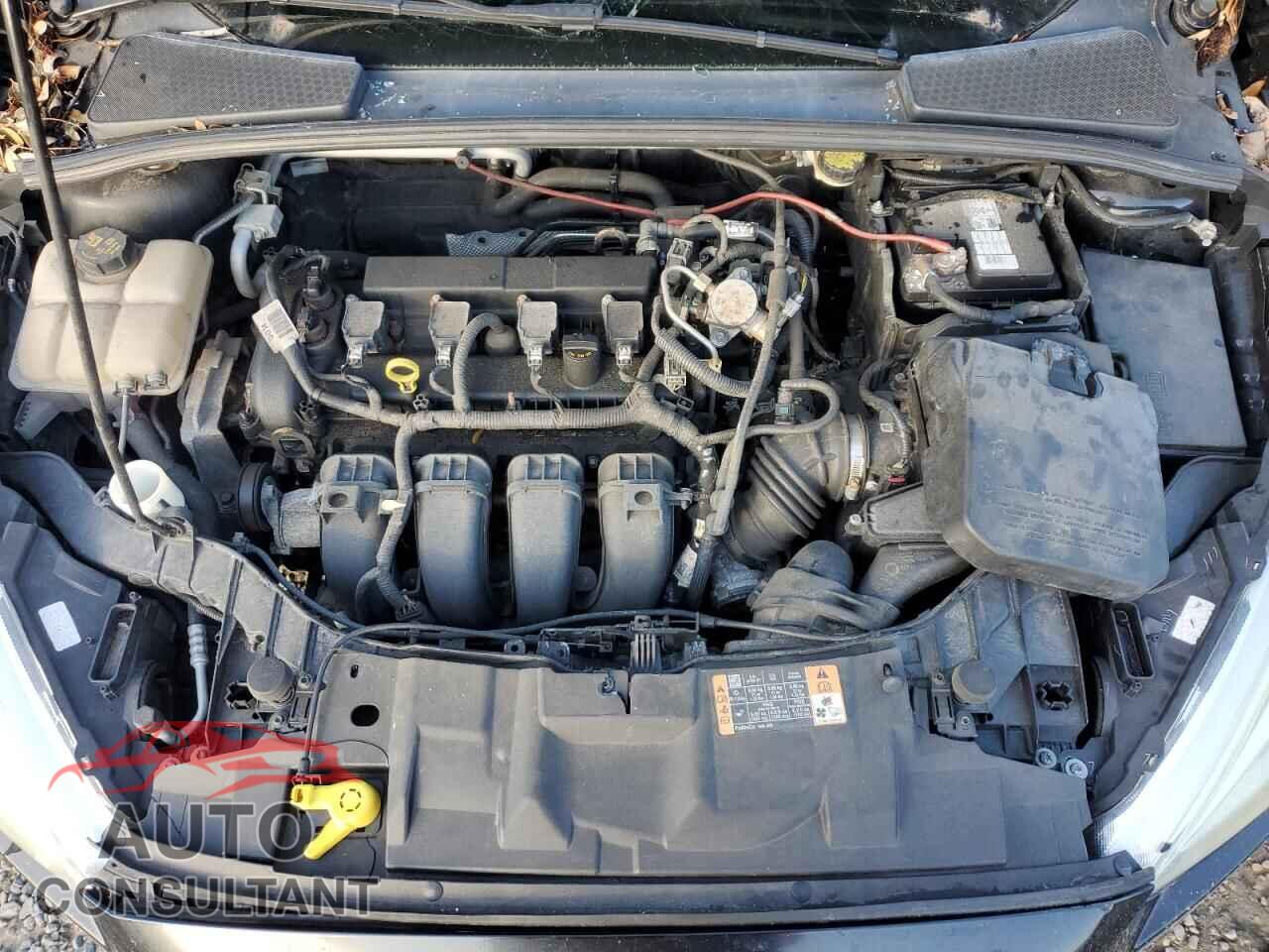 FORD FOCUS 2016 - 1FADP3F25GL356272