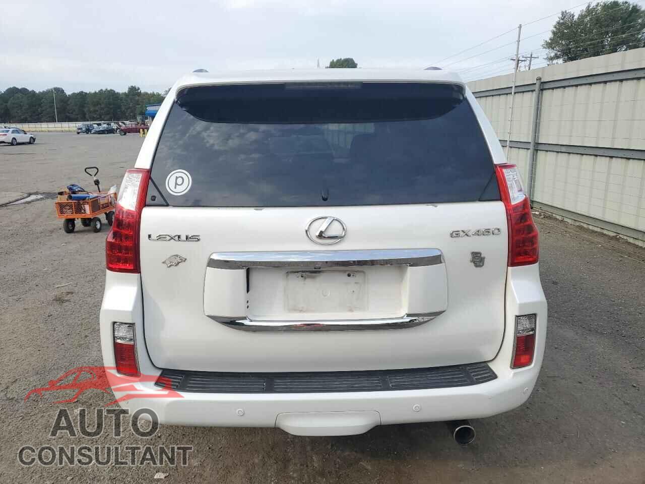 LEXUS GX 2010 - JTJJM7FX8A5000576