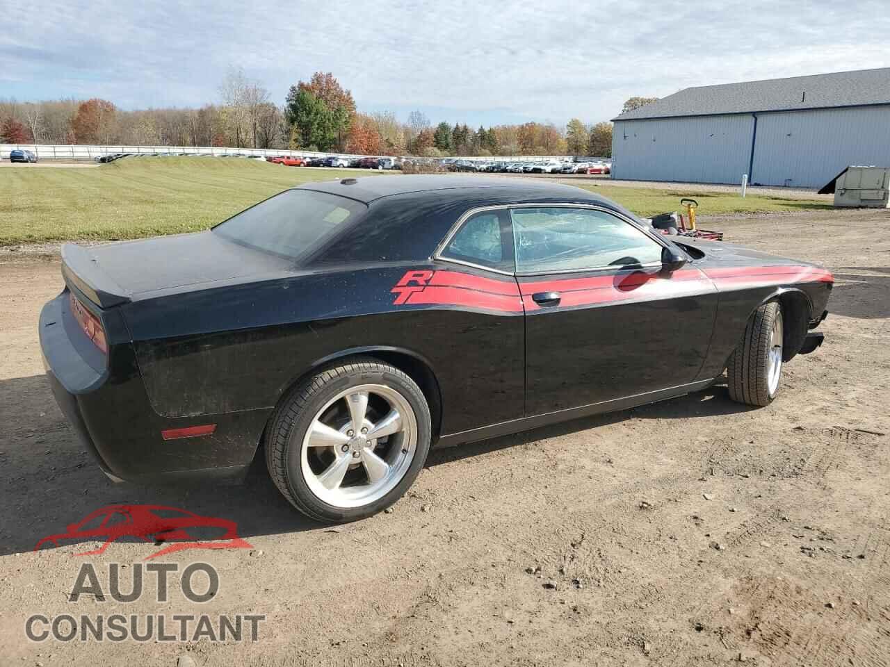 DODGE CHALLENGER 2012 - 2C3CDYBT1CH176907