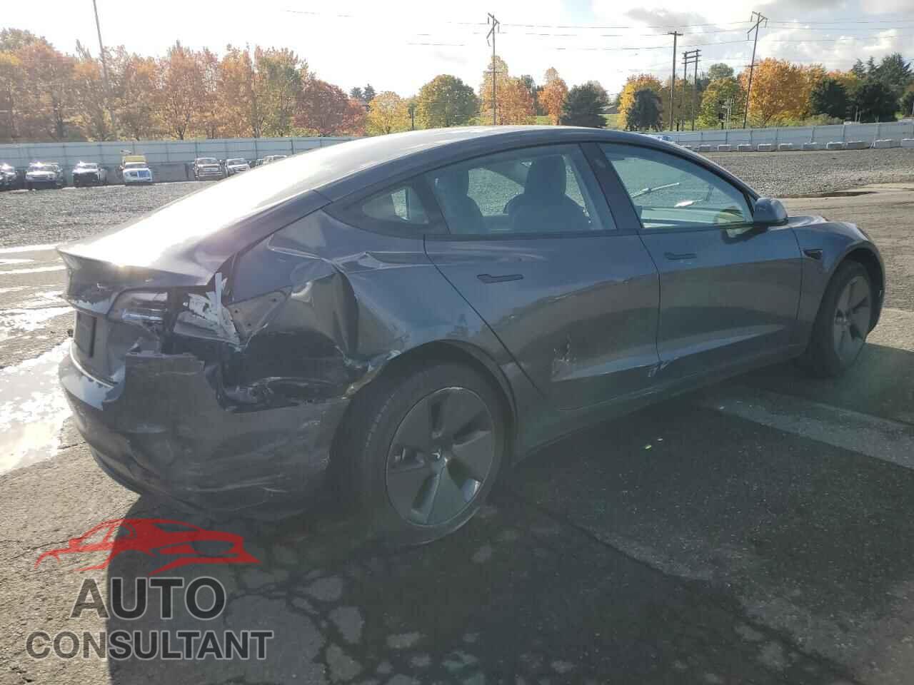 TESLA MODEL 3 2023 - 5YJ3E1EA5PF667986