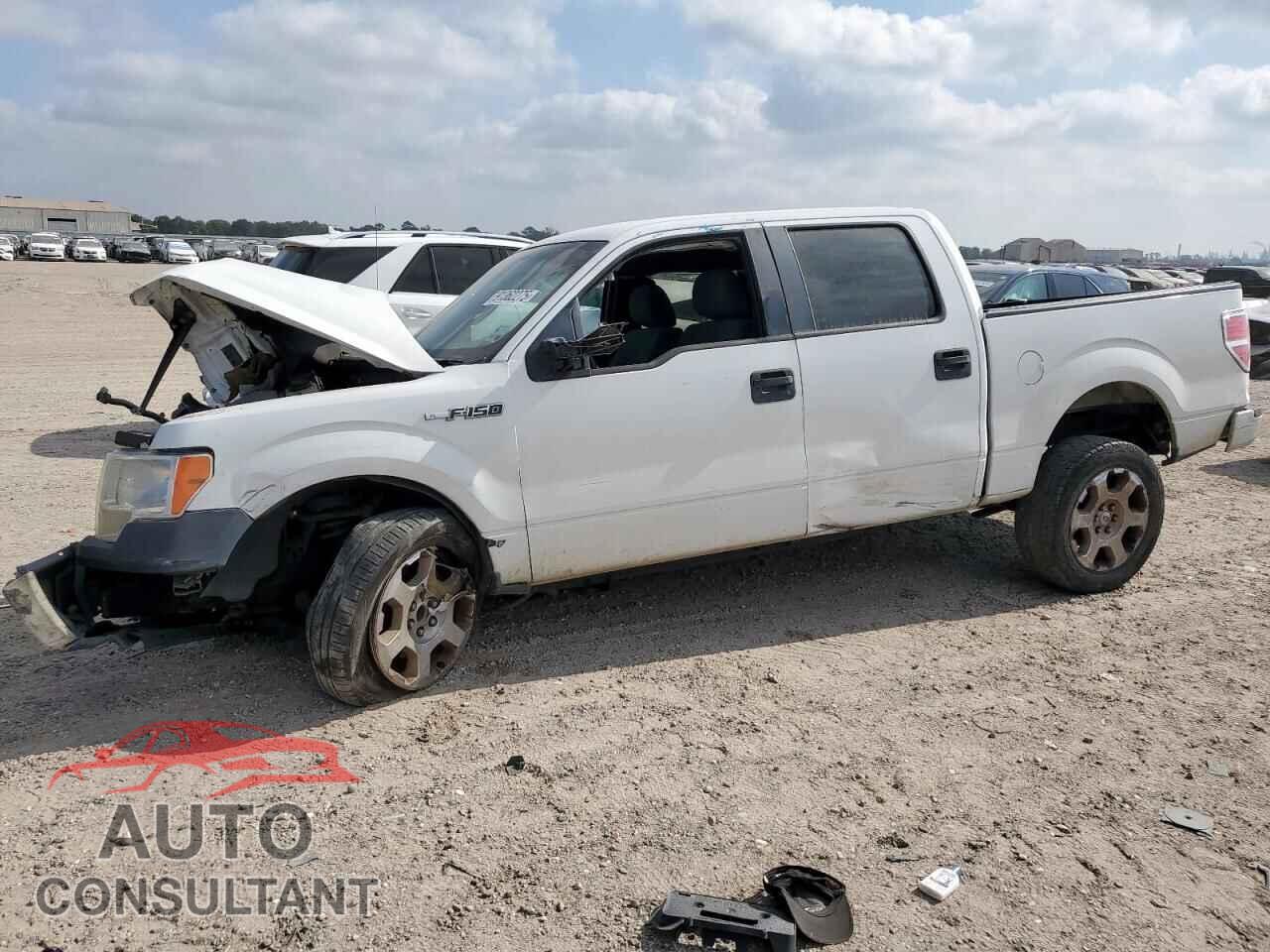 FORD F-150 2011 - 1FTEW1CM2BKD44879