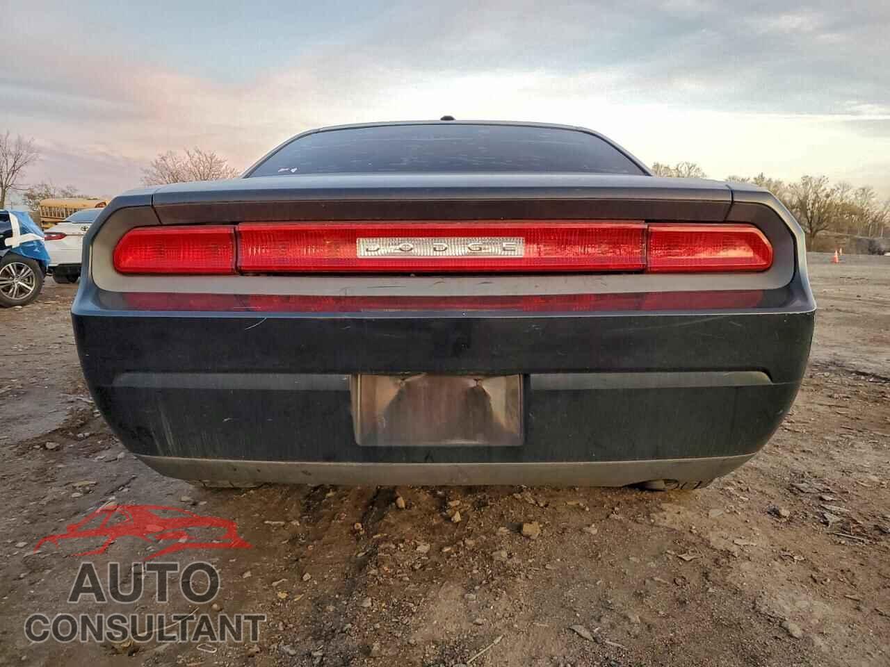 DODGE CHALLENGER 2010 - 2B3CJ4DV2AH103376
