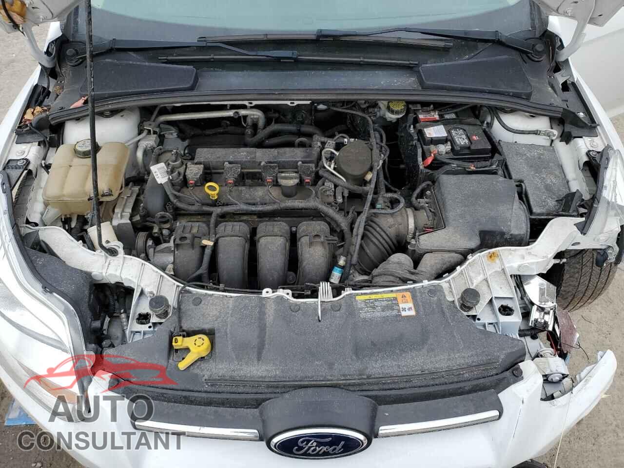 FORD FOCUS 2013 - 1FADP3K29DL178366