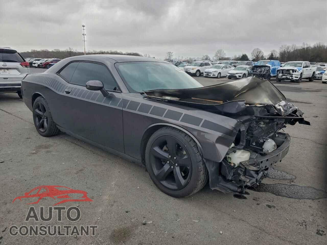 DODGE CHALLENGER 2014 - 2C3CDYBT5EH115191