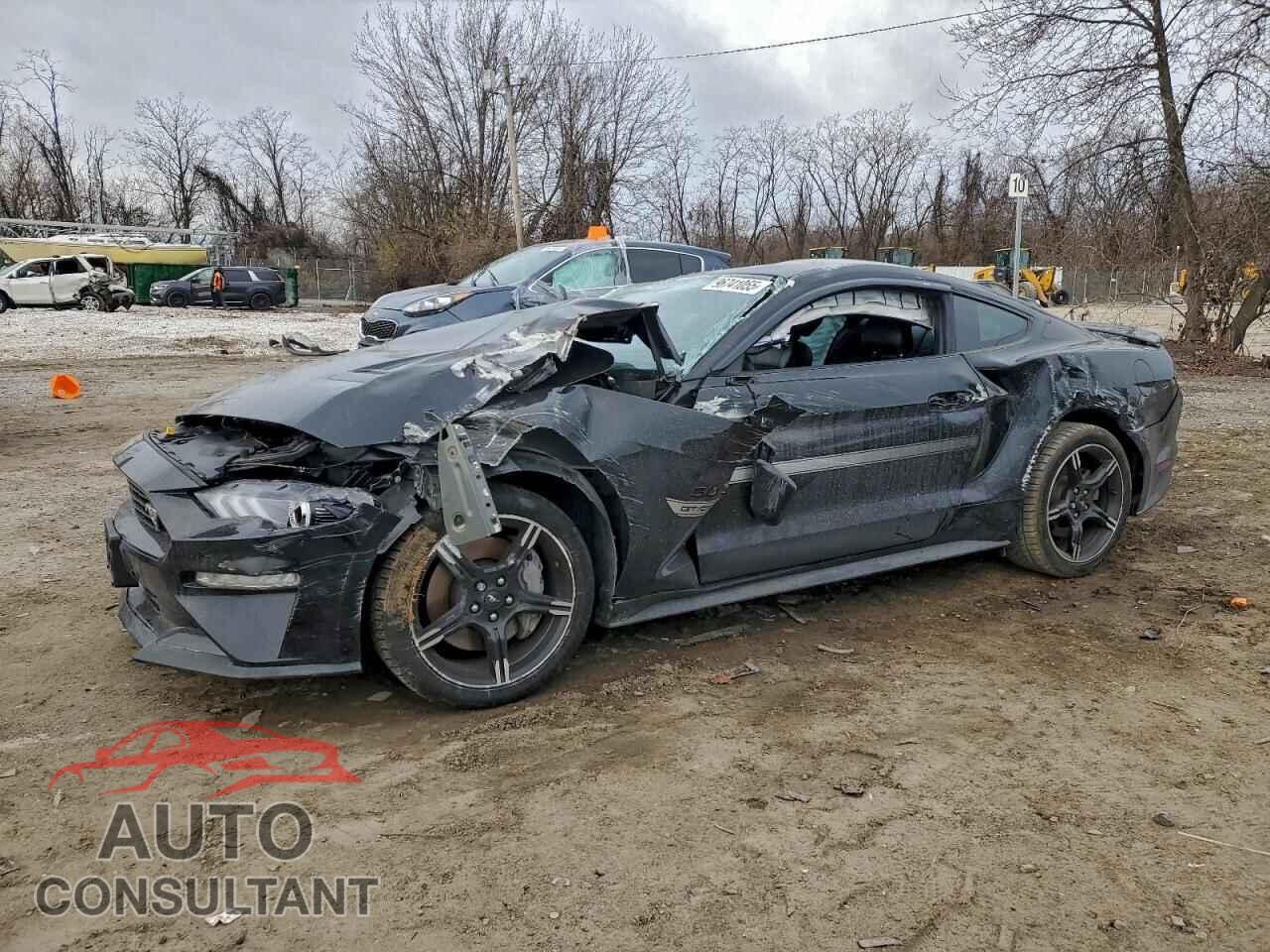 FORD MUSTANG 2019 - 1FA6P8CF3K5114476
