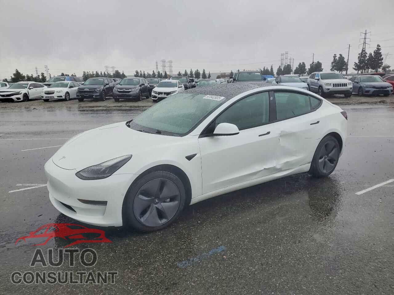 TESLA MODEL 3 2021 - 5YJ3E1EA1MF939672