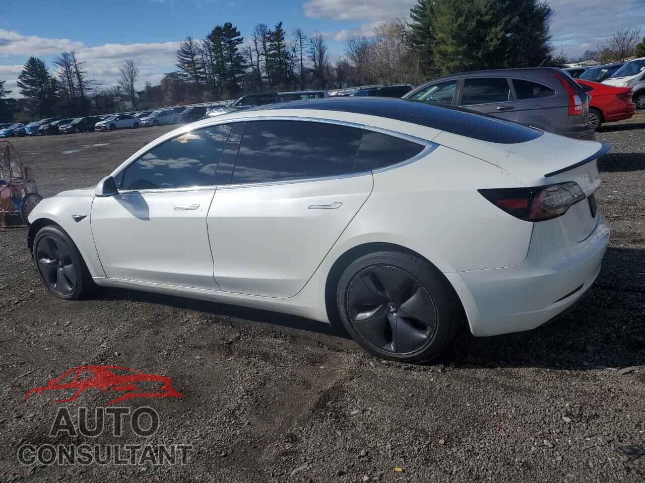 TESLA MODEL 3 2019 - 5YJ3E1EB8KF493364