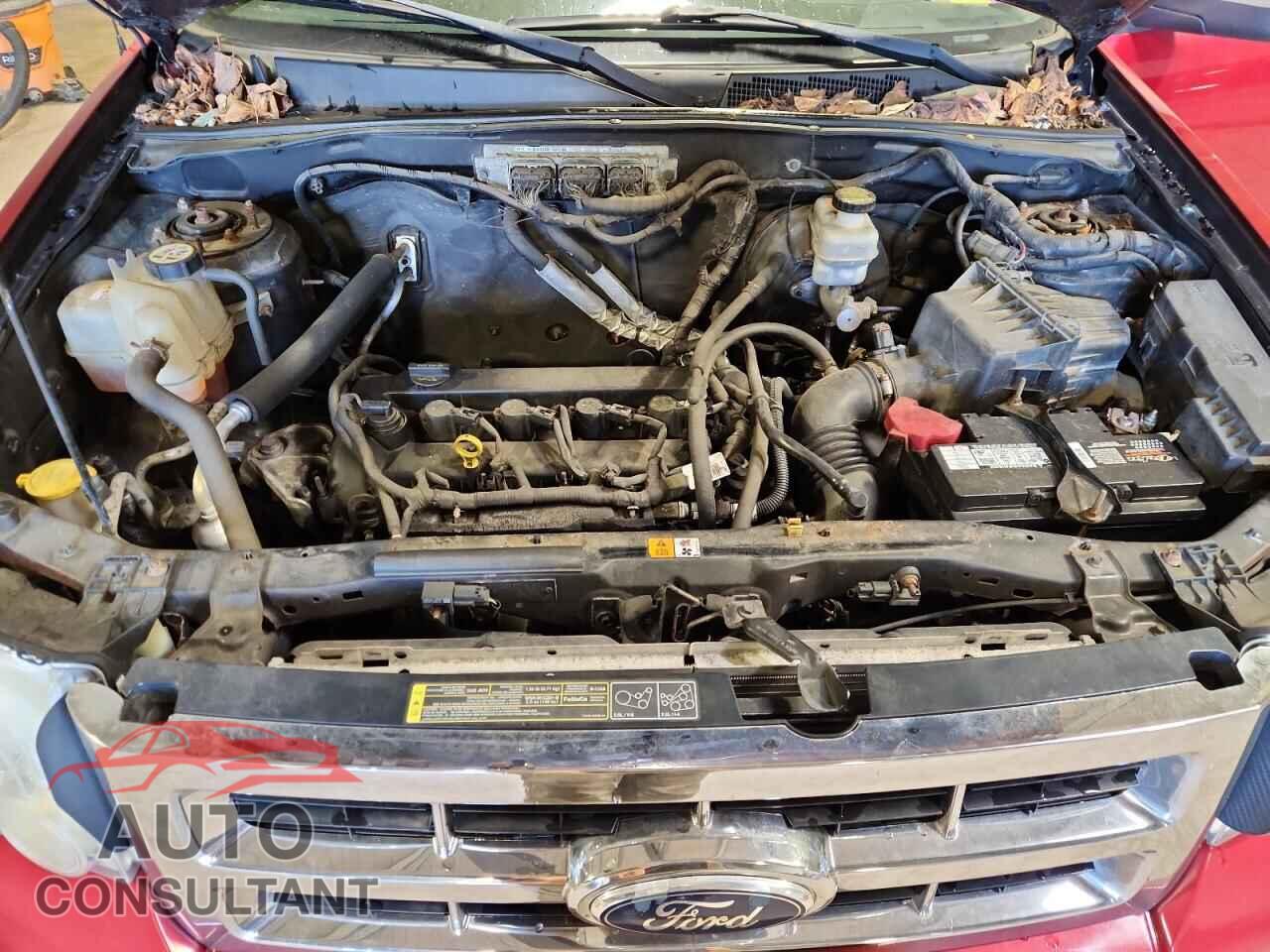 FORD ESCAPE 2010 - 1FMCU9D72AKA87432