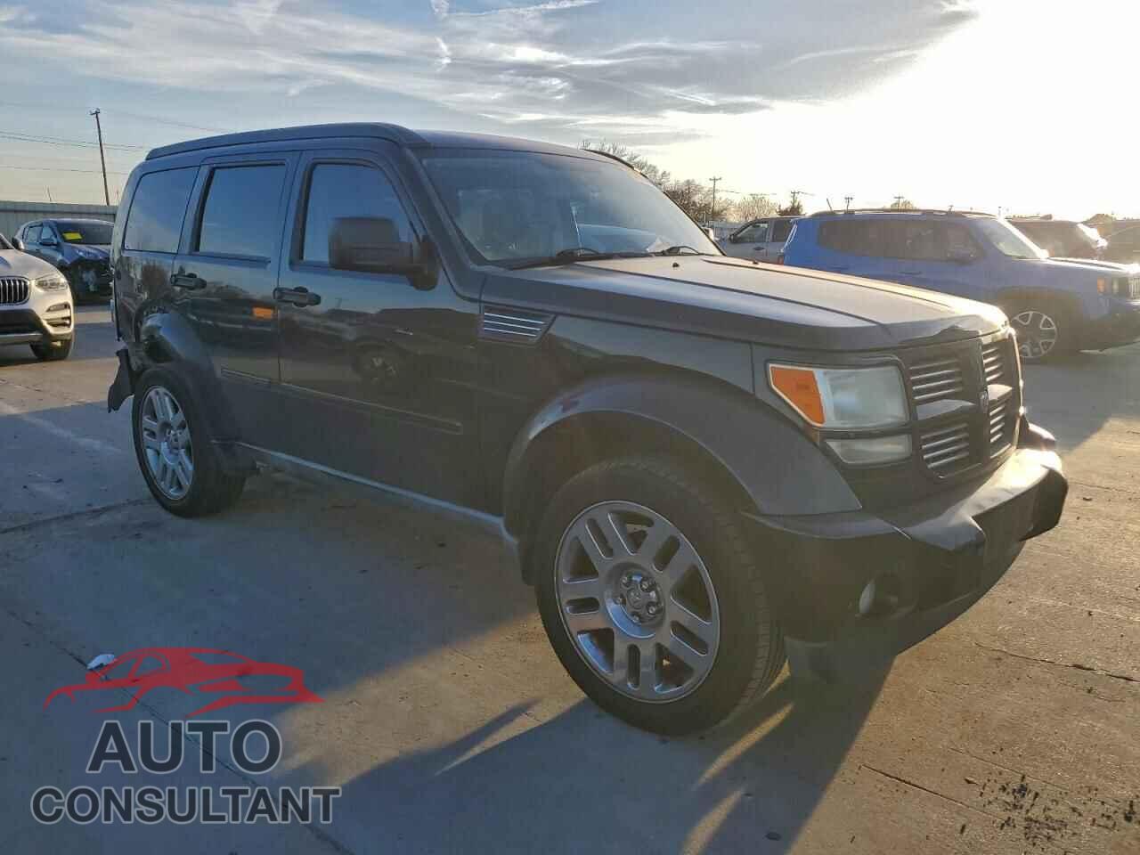 DODGE NITRO 2011 - 1D4PT4GK3BW590007