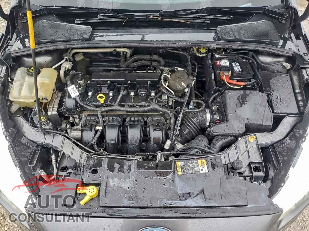 FORD FOCUS 2016 - 1FADP3E22GL241789