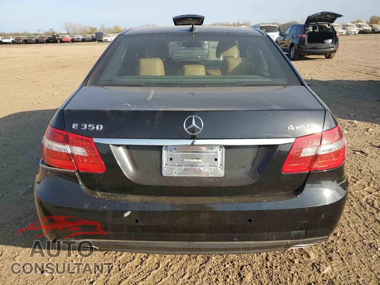 MERCEDES-BENZ E-CLASS 2010 - WDDHF8HB8AA056436