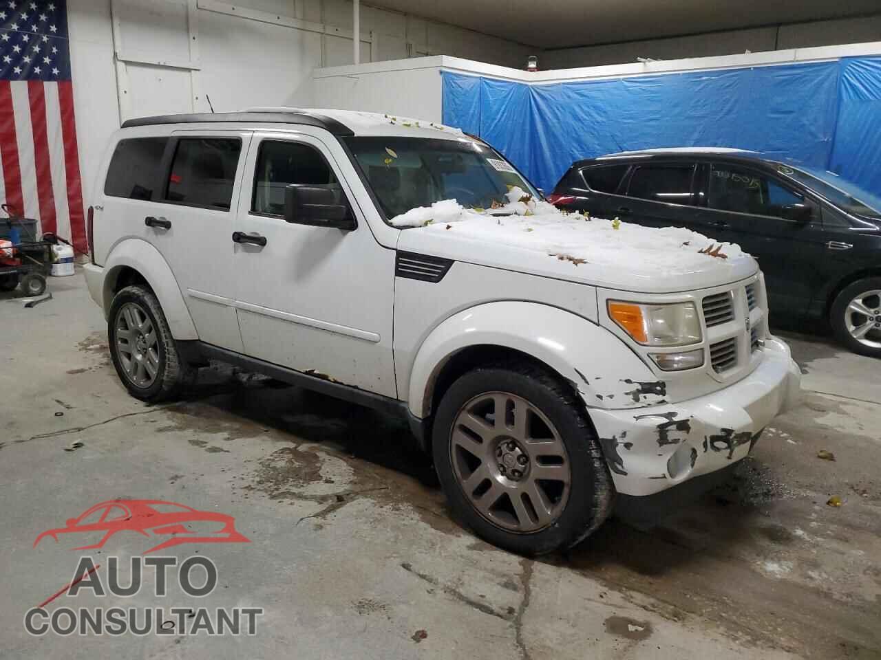 DODGE NITRO 2011 - 1D4PU4GKXBW598375