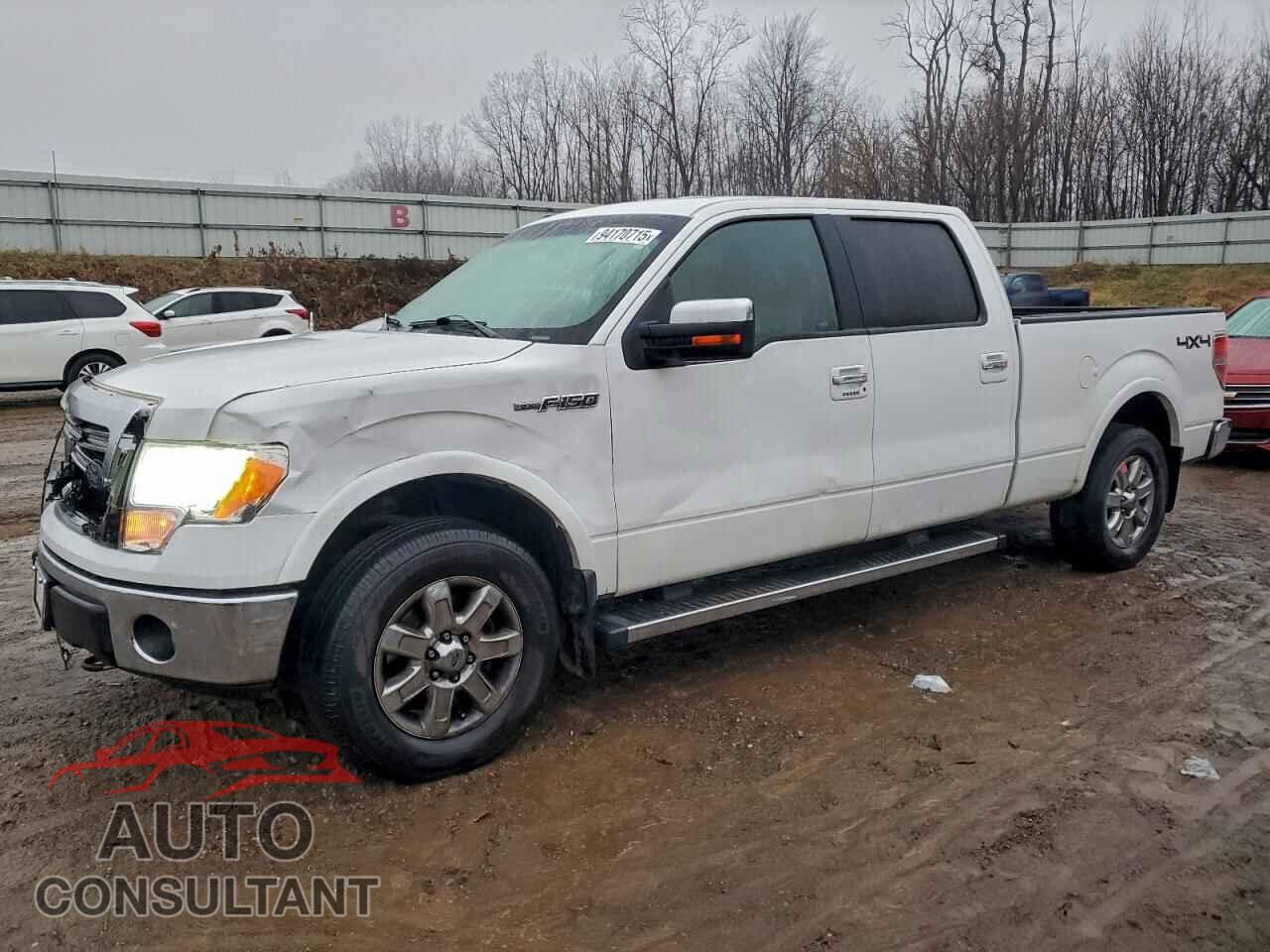 FORD F-150 2014 - 1FTFW1EF3EFA52903