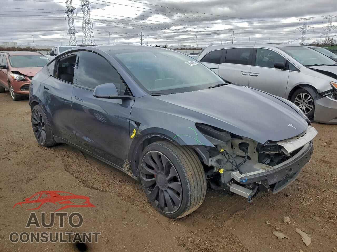 TESLA MODEL Y 2022 - 7SAYGDEF2NF394549