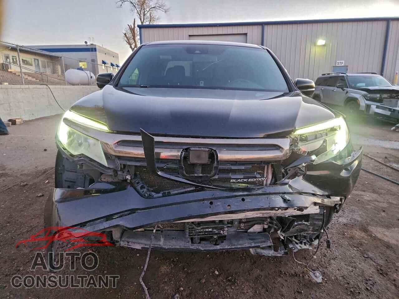 HONDA RIDGELINE 2017 - 5FPYK3F8XHB036990