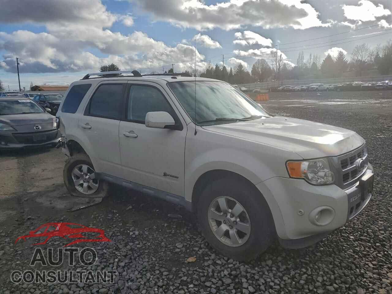 FORD ESCAPE 2010 - 1FMCU4K31AKB62589