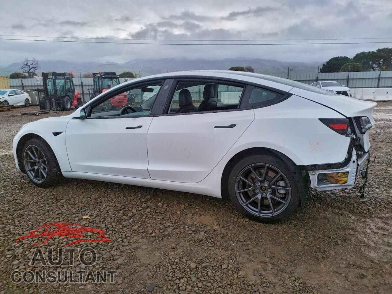 TESLA MODEL 3 2021 - 5YJ3E1EB7MF075509