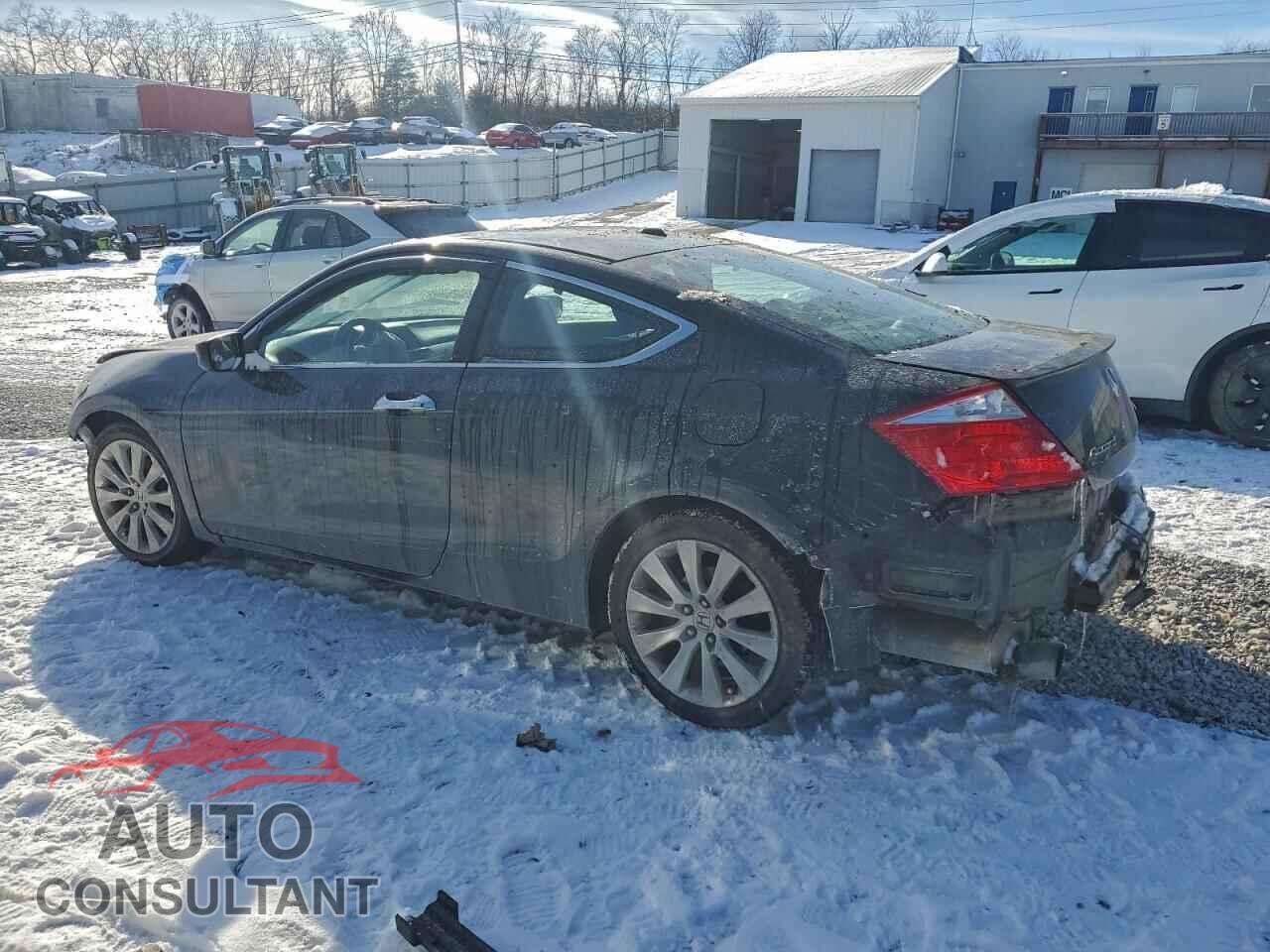 HONDA ACCORD 2010 - 1HGCS2B87AA008678