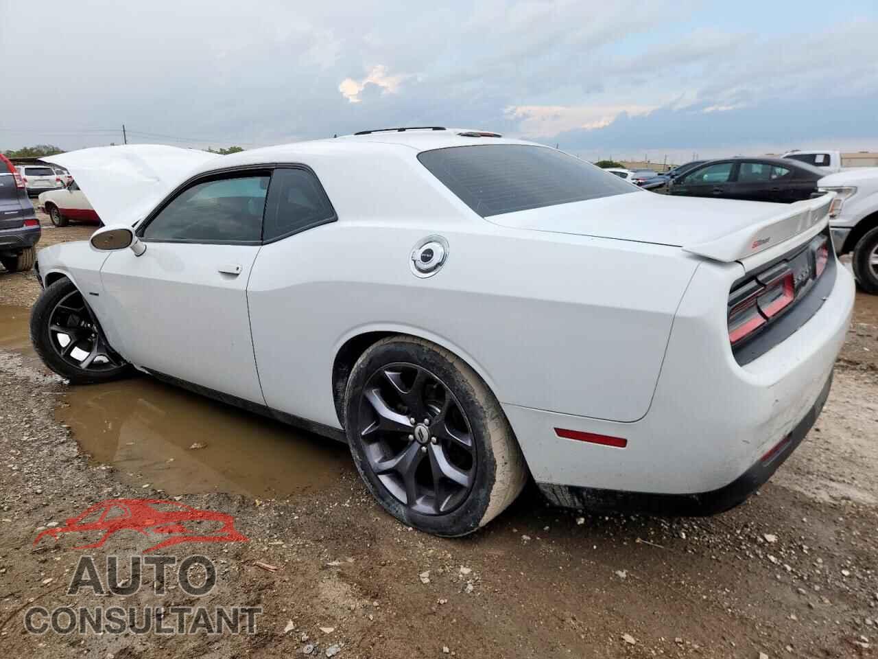 DODGE CHALLENGER 2019 - 2C3CDZBT8KH708562