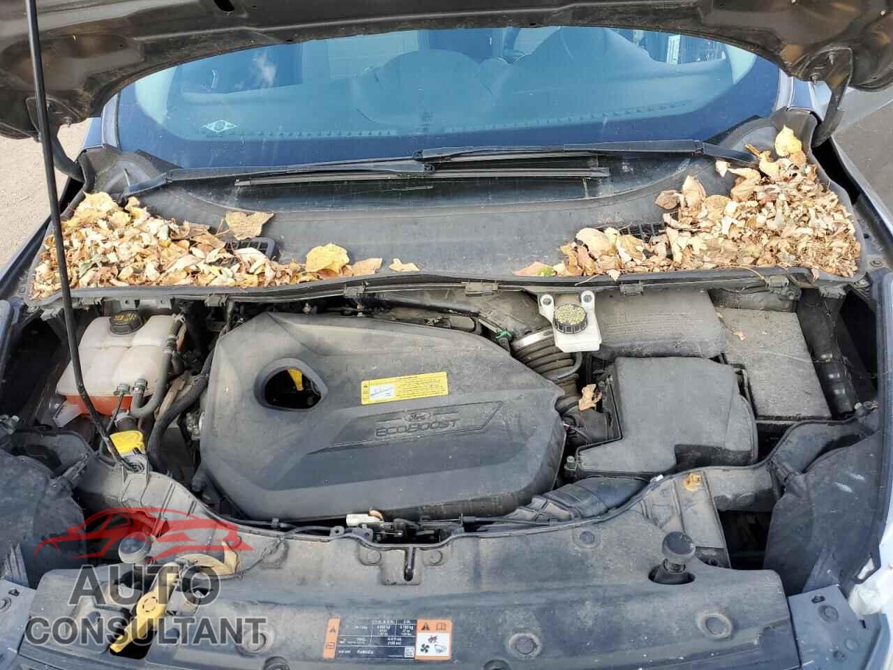 FORD ESCAPE 2014 - 1FMCU0GX2EUC66667