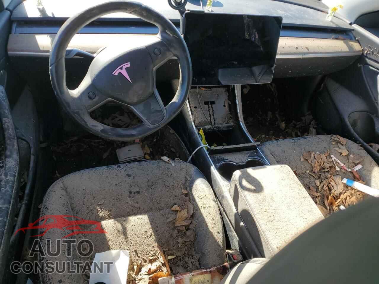 TESLA MODEL 3 2019 - 5YJ3E1EA1KF394635