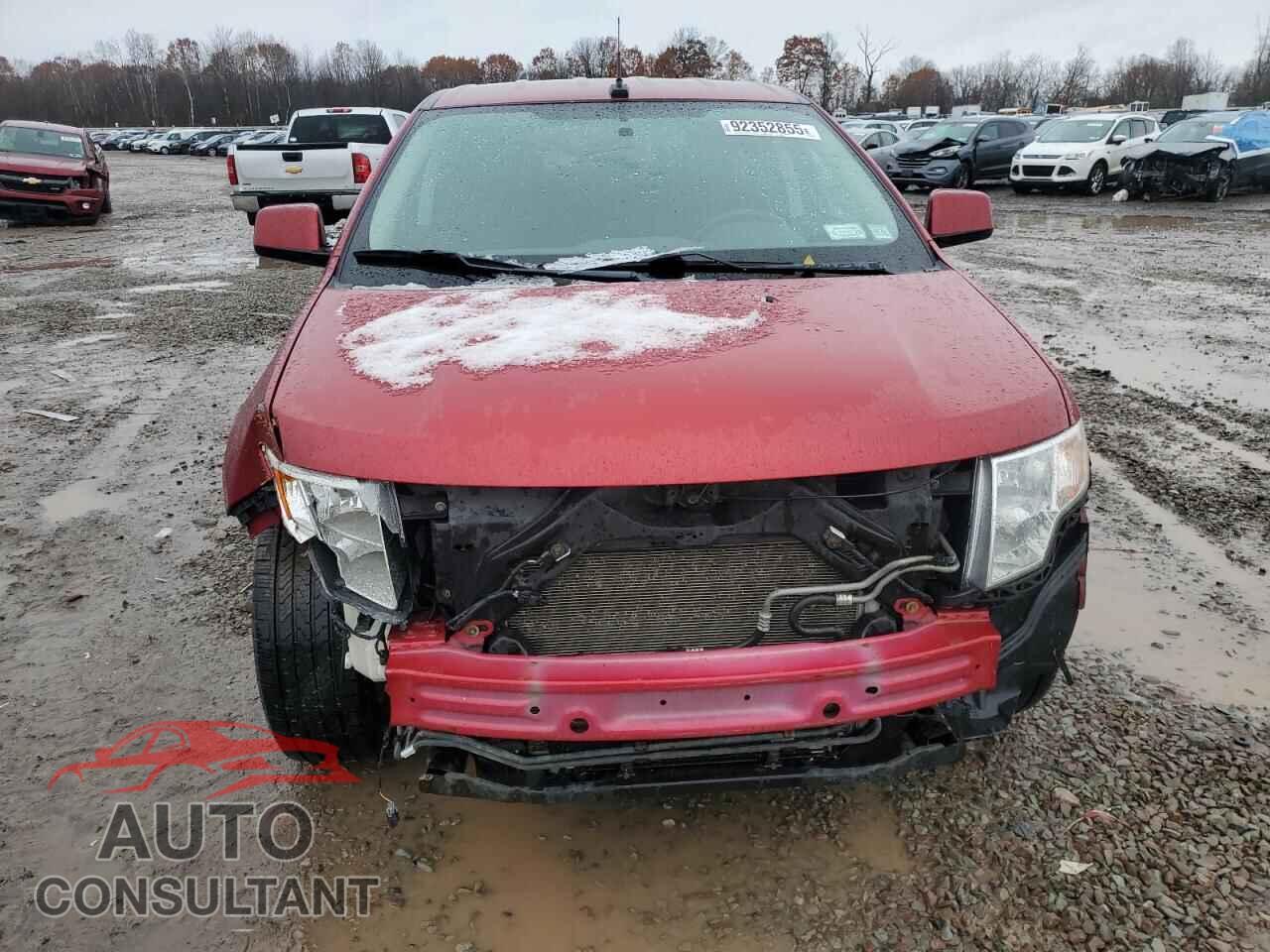 FORD EDGE 2009 - 2FMDK38C29BA58601