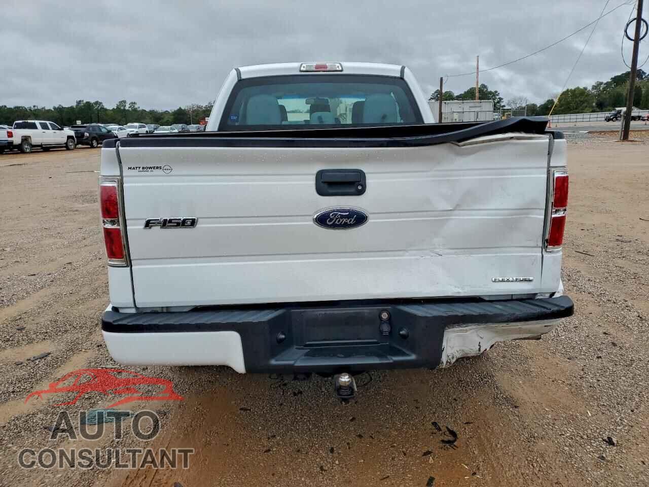 FORD F-150 2013 - 1FTFX1CF9DFC46849