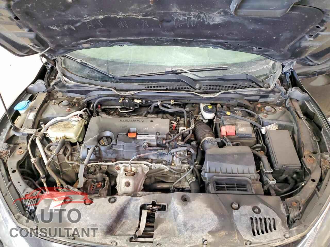 HONDA CIVIC 2016 - 2HGFC2E52GH031887