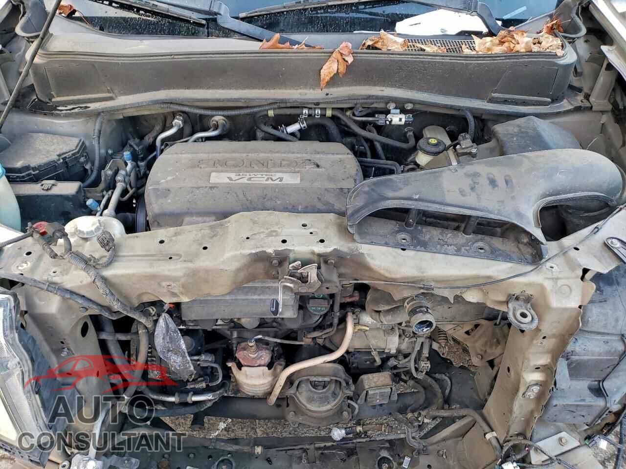 HONDA PILOT 2010 - 5FNYF4H58AB031380