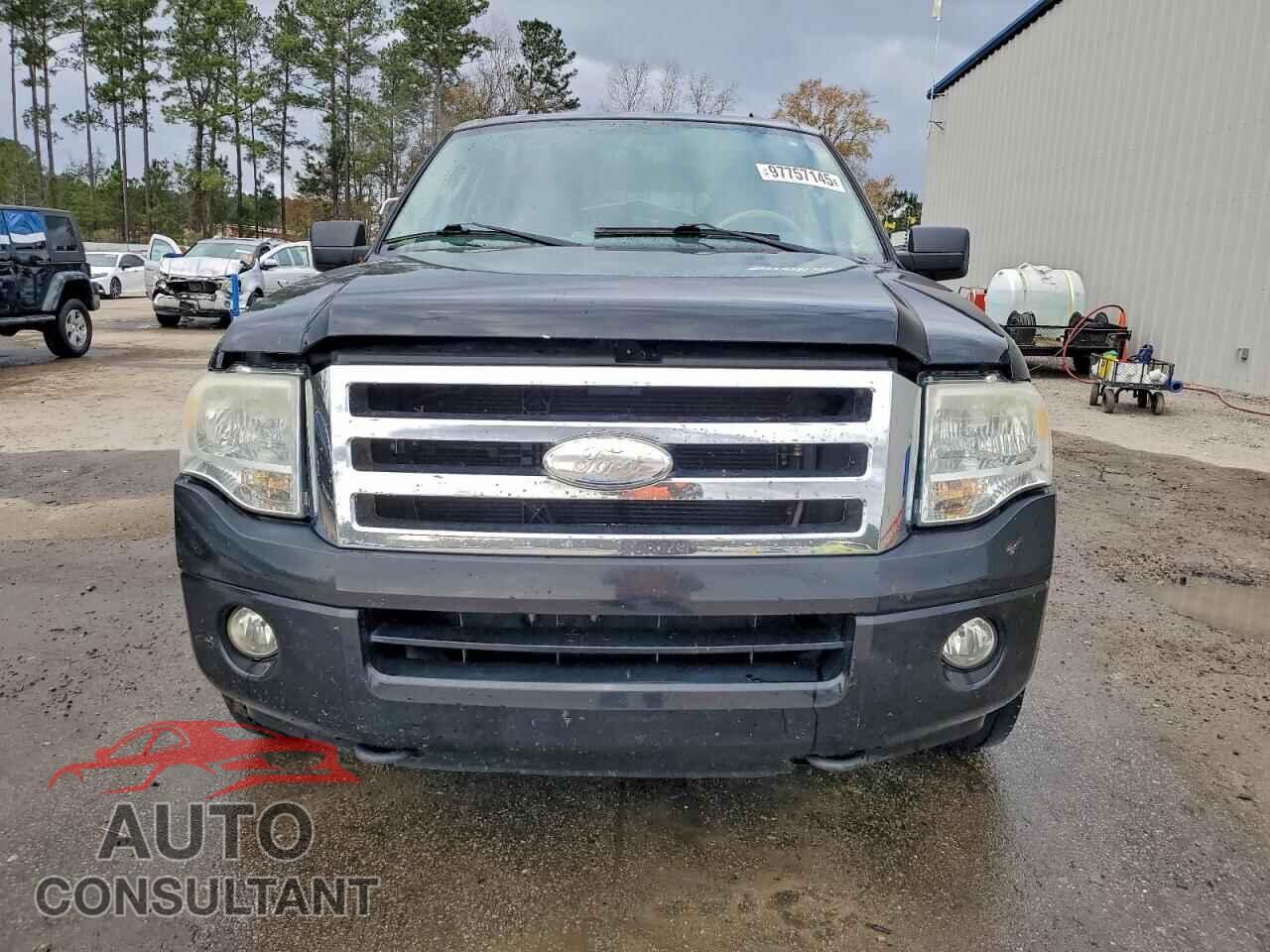 FORD EXPEDITION 2009 - 1FMFU16539EA86391