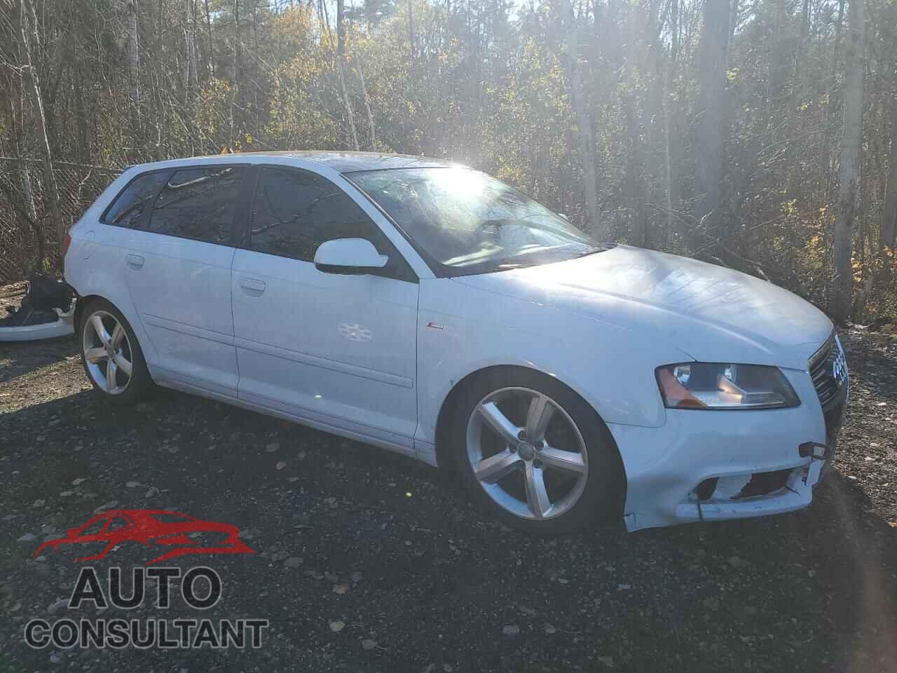 AUDI A3 2013 - WAUDFCFM1DA007595