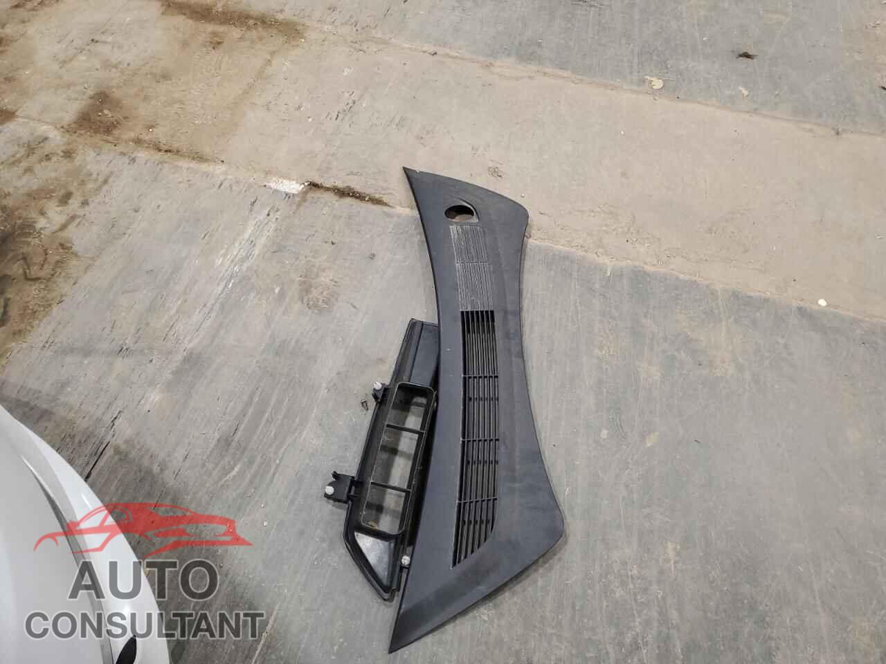 TESLA MODEL 3 2019 - 5YJ3E1EB3KF493904