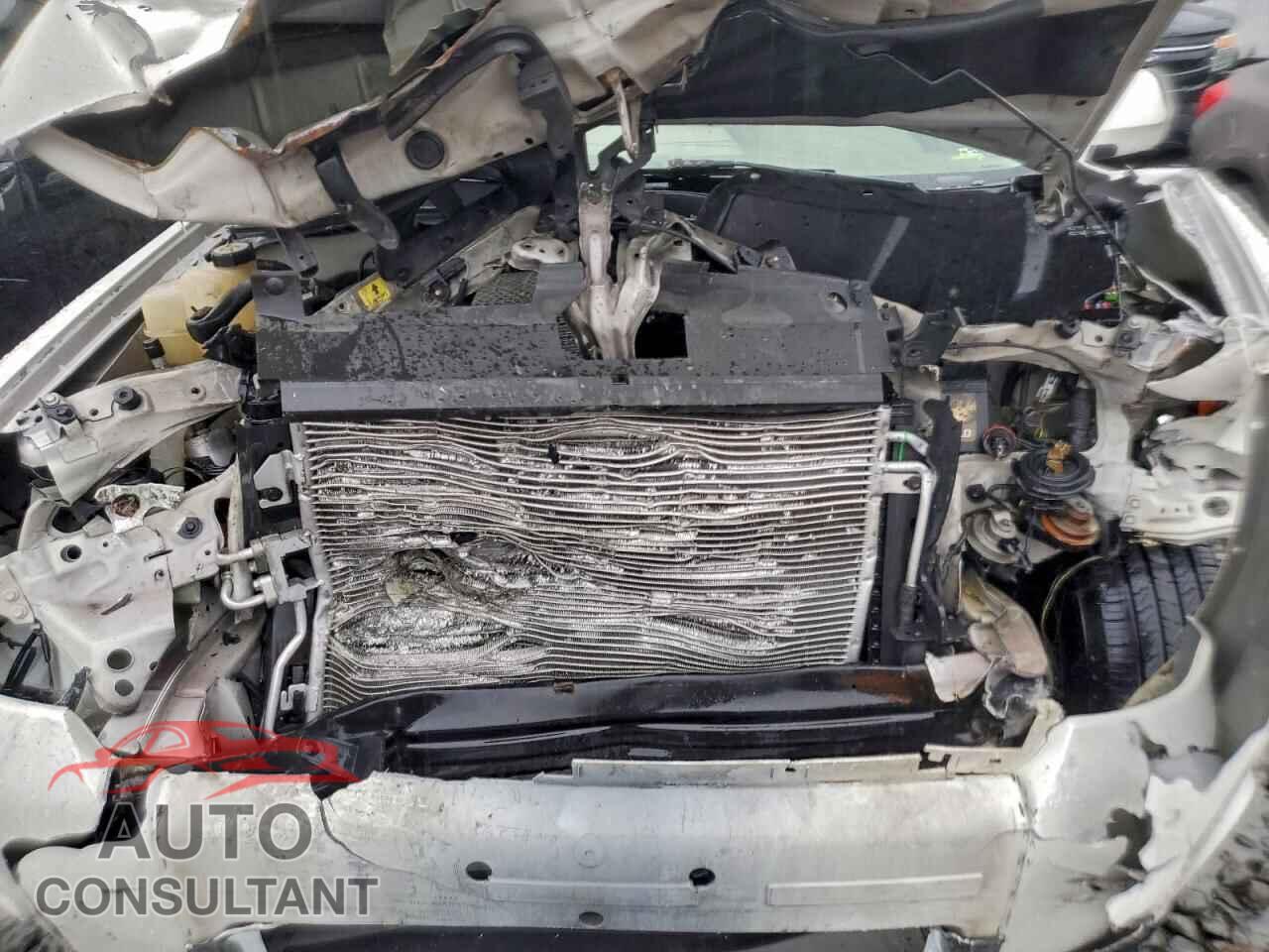 FORD ESCAPE 2012 - 1FMCU0EG2CKC74439