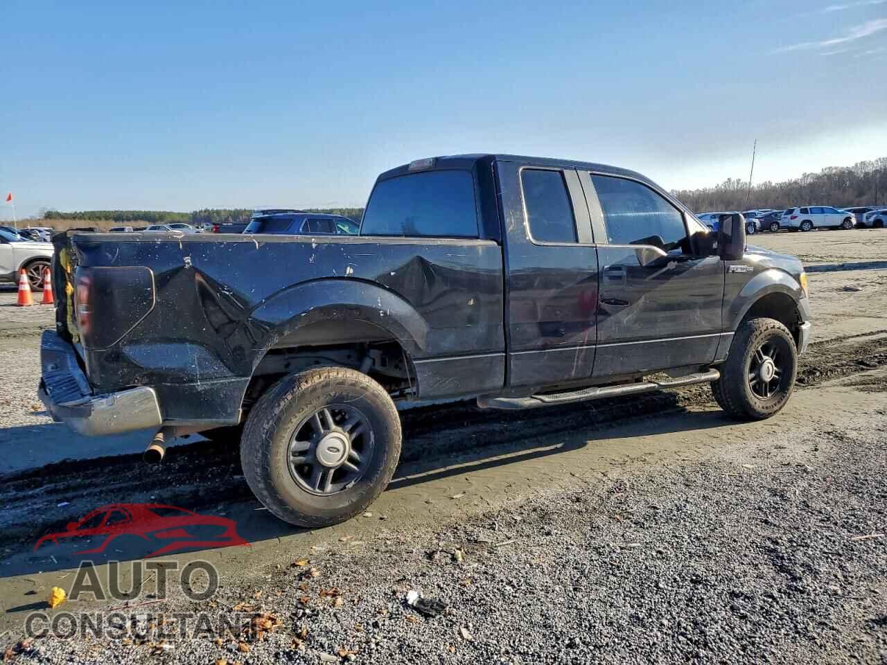 FORD F-150 2011 - 1FTFX1CF8BFA74648