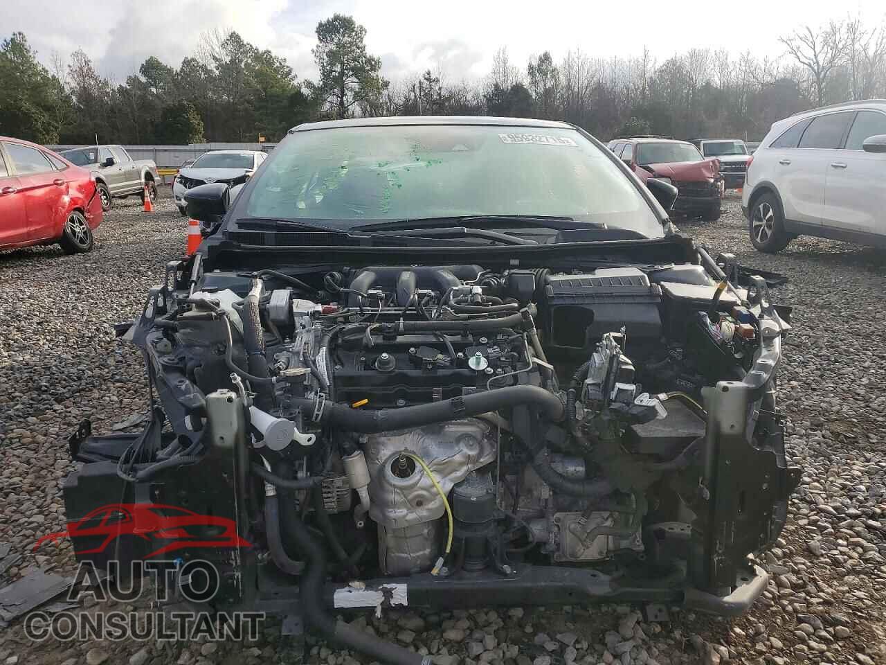 NISSAN MAXIMA 2023 - 1N4AA6CV0PC511461
