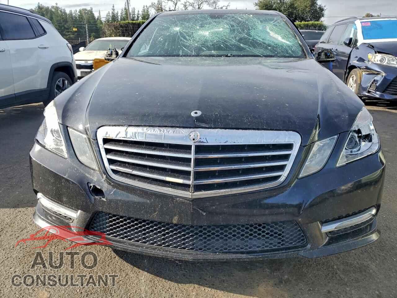 MERCEDES-BENZ E-CLASS 2013 - WDDHF8JB4DA692169
