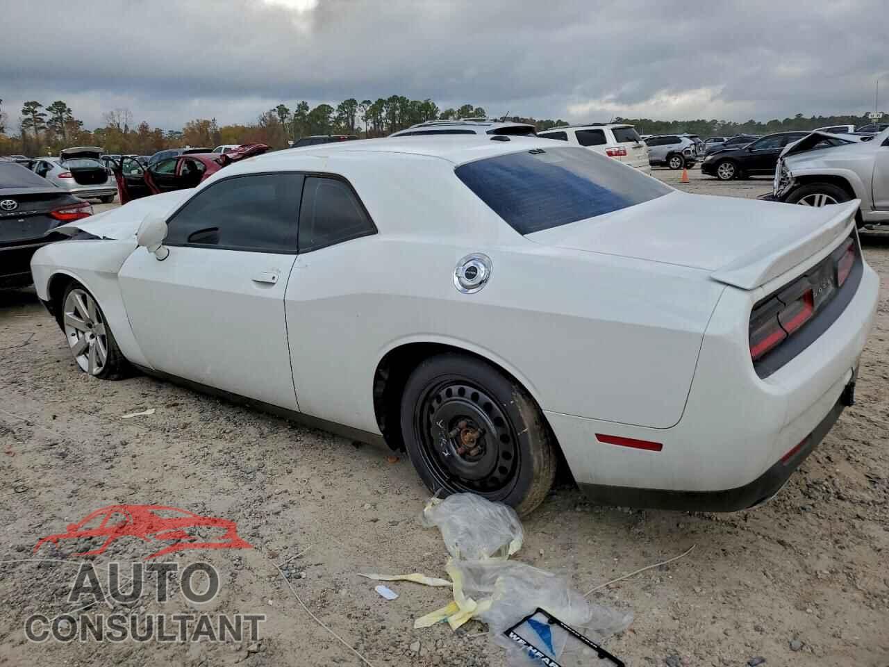 DODGE CHALLENGER 2019 - 2C3CDZBT9KH632267
