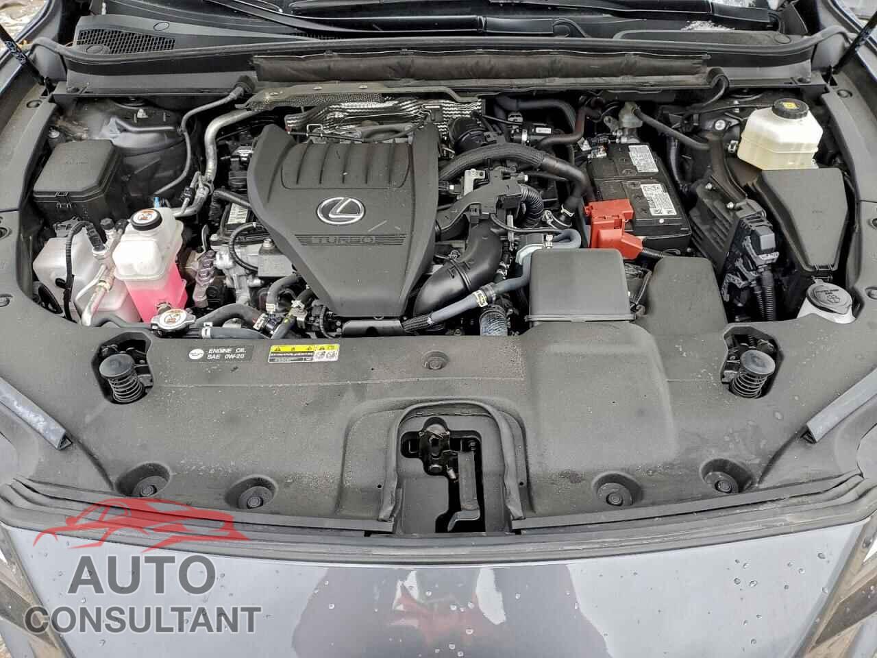 LEXUS RX350 2024 - 2T2BAMBA1RC041299