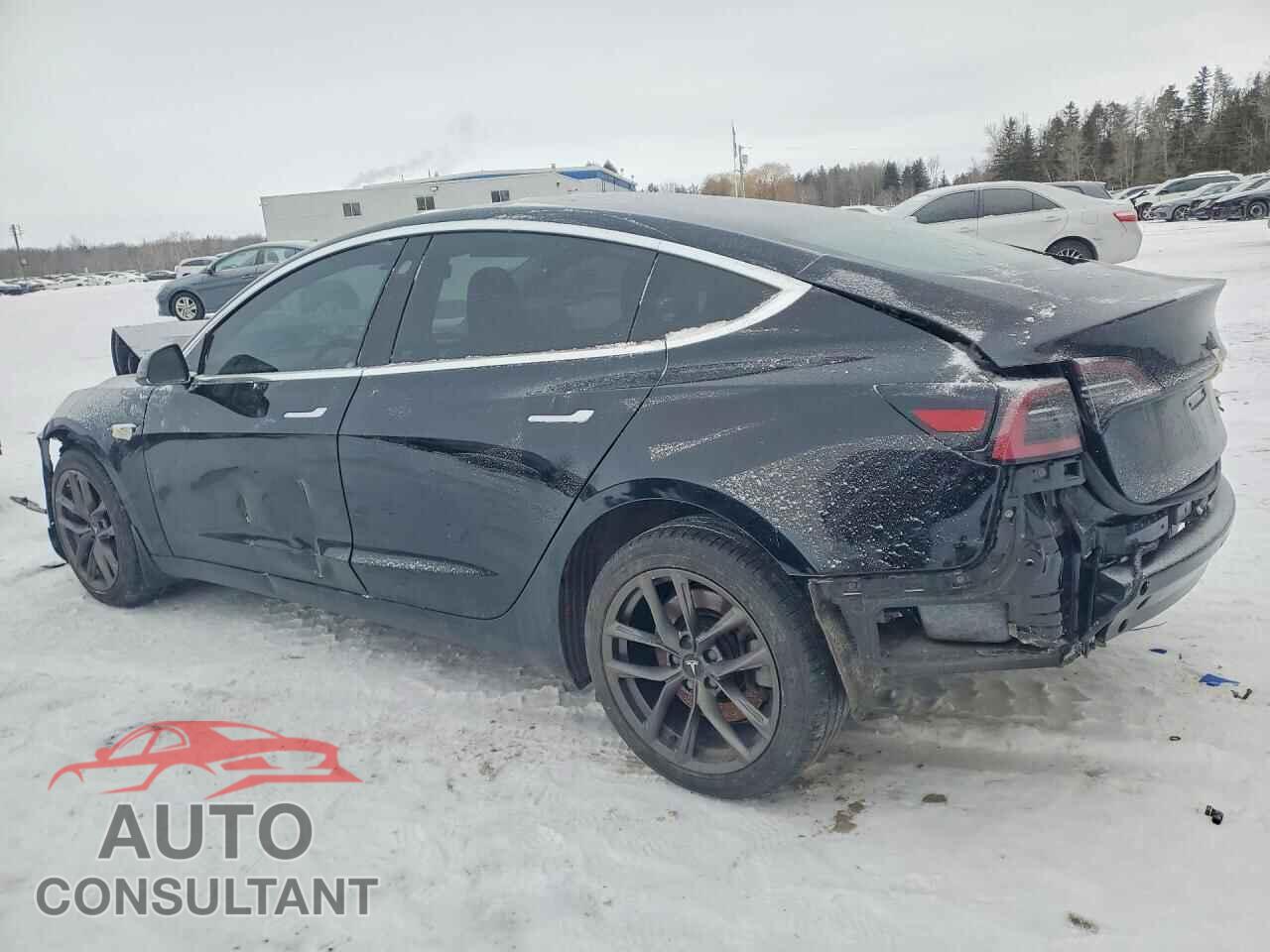 TESLA MODEL 3 2019 - 5YJ3E1EA2KF413872
