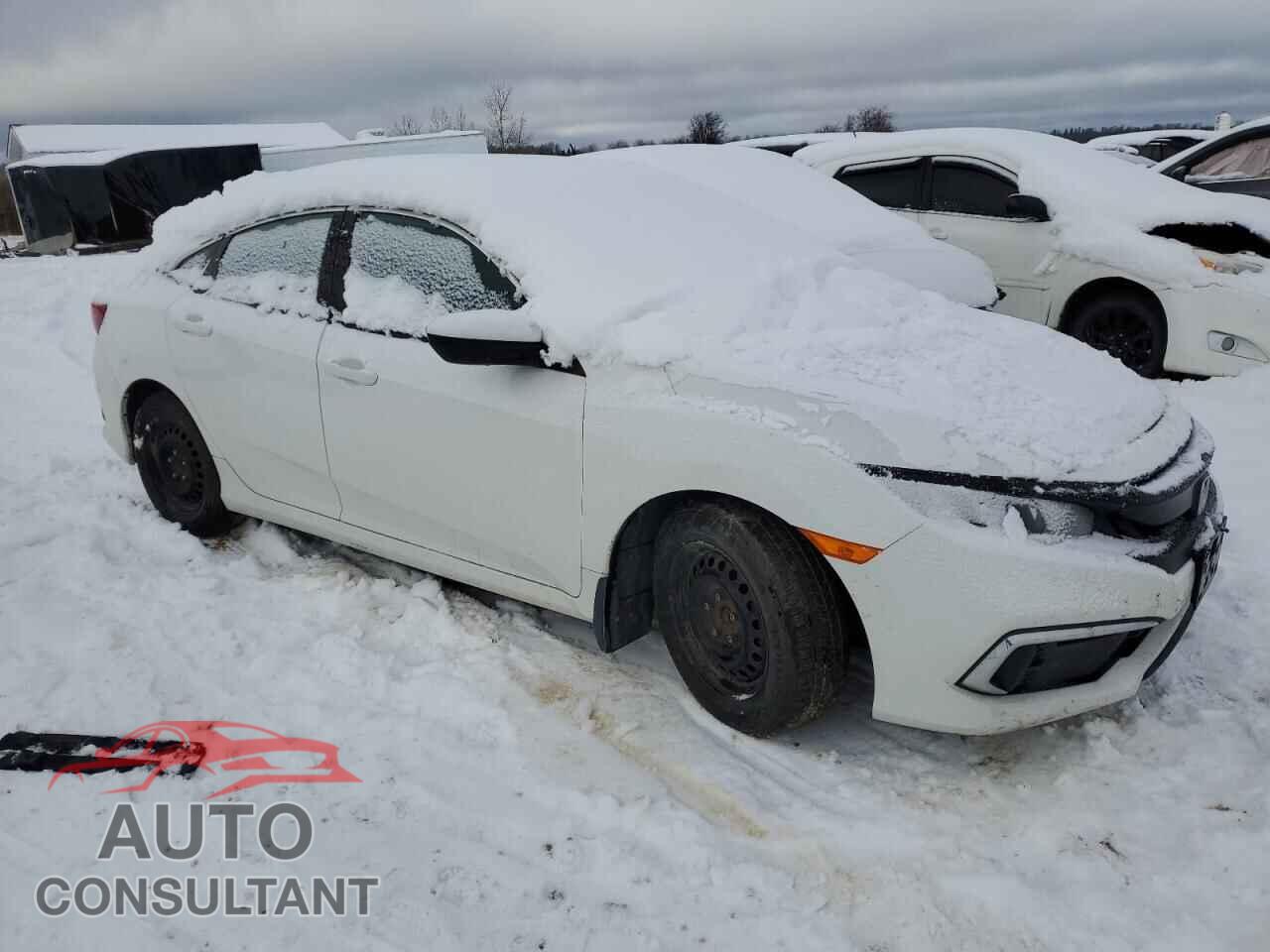 HONDA CIVIC 2019 - 2HGFC2F51KH036425